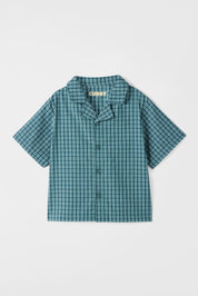 Frankie Shirt | Stormy Check