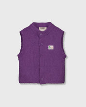 Teddy Vest | Barney