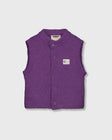 Teddy Vest | Barney