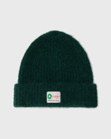 Teddy Beanie | Dino